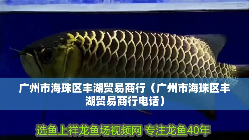 廣州市海珠區豐湖貿易商行（廣州市海珠區豐湖貿易商行電話）