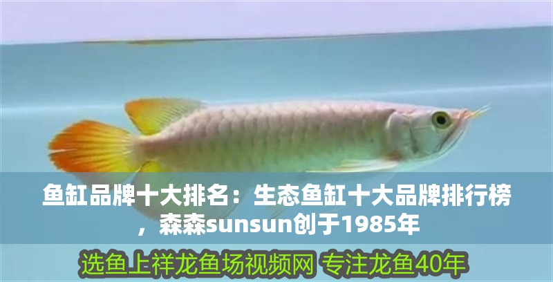 魚缸品牌十大排名：生態(tài)魚缸十大品牌排行榜，森森sunsun創(chuàng)于1985年