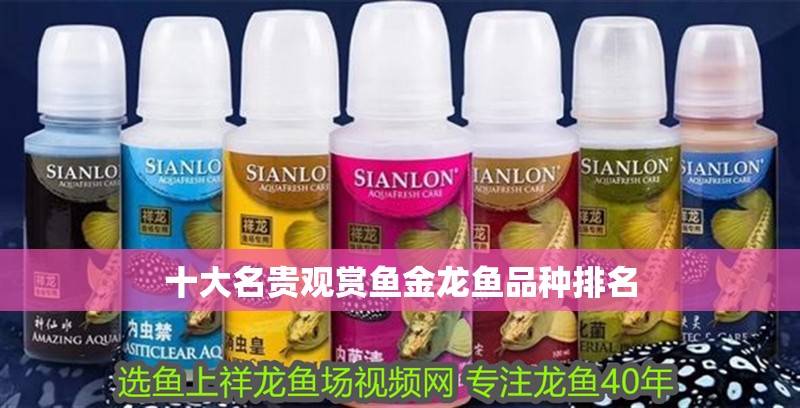 十大名貴觀賞魚金龍魚品種排名