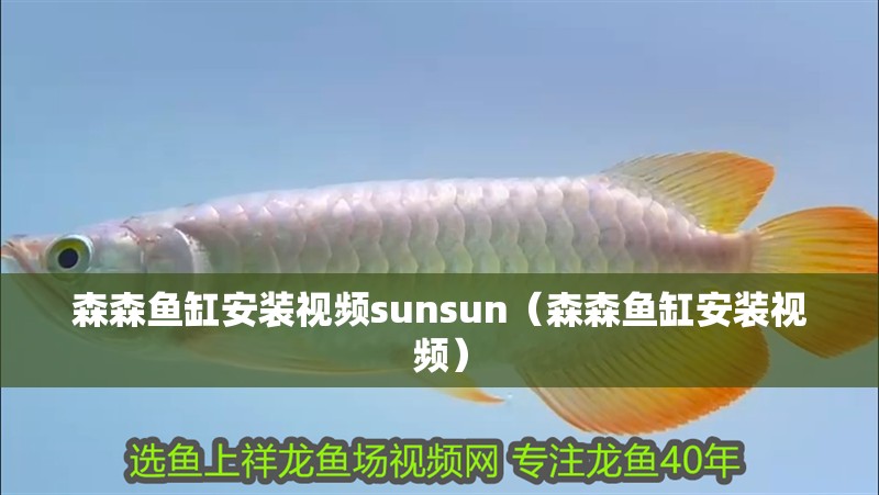 魚缸用增氧泵價格是多少:魚缸增氧機-xtrac增氧機-xtrac增氧機 森森魚缸安裝視頻sunsun(森森魚缸安裝視頻) 魚缸百科 森森魚缸安裝視頻sunsun(森森魚缸安裝視頻) 森森魚缸安裝視頻sunsun(森森魚缸安裝視頻) 魚缸百科