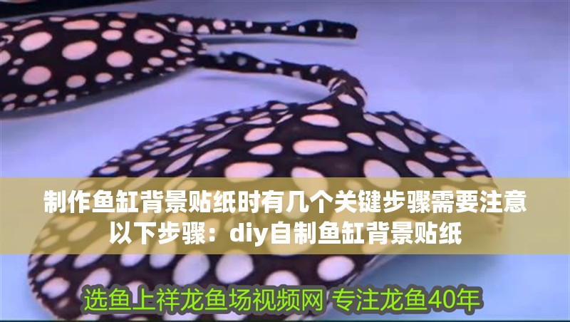 制作魚缸背景貼紙時有幾個關鍵步驟需要注意以下步驟：diy自制魚缸背景貼紙