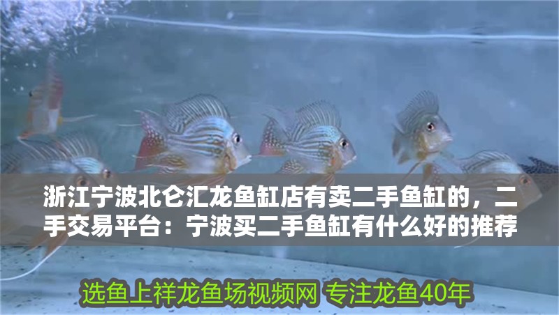 浙江寧波北侖匯龍魚缸店有賣二手魚缸的，二手交易平臺：寧波買二手魚缸有什么好的推薦？
