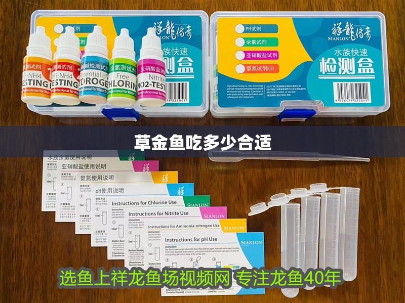 草金魚吃多少合適
