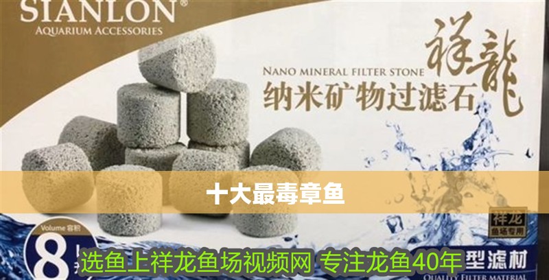 十大最毒章魚 十大最毒章魚 龍魚論壇