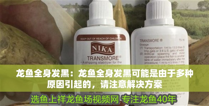 龍魚全身發黑：龍魚全身發黑可能是由于多種原因引起的，請注意解決方案