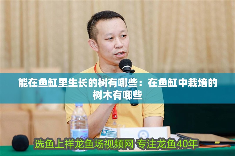能在魚缸里生長的樹有哪些：在魚缸中栽培的樹木有哪些