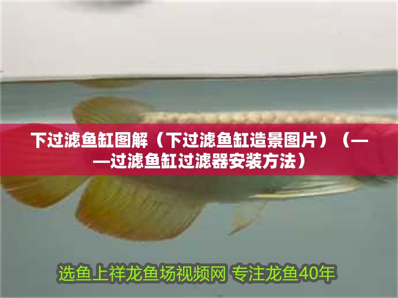 下過濾魚缸圖解（下過濾魚缸造景圖片）（——過濾魚缸過濾器安裝方法） 下過濾魚缸圖解（下過濾魚缸造景圖片）（——過濾魚缸過濾器安裝方法） 魚缸百科