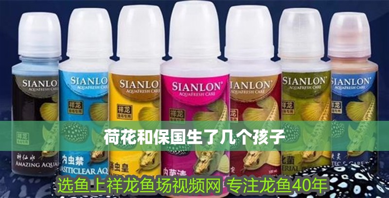 魚缸用增氧泵價格是多少:魚缸增氧機-xtrac增氧機-xtrac增氧機 荷花和保國生了幾個孩子 龍魚論壇 荷花和保國生了幾個孩子 荷花和保國生了幾個孩子 龍魚論壇