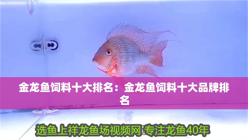金龍魚飼料十大排名：金龍魚飼料十大品牌排名