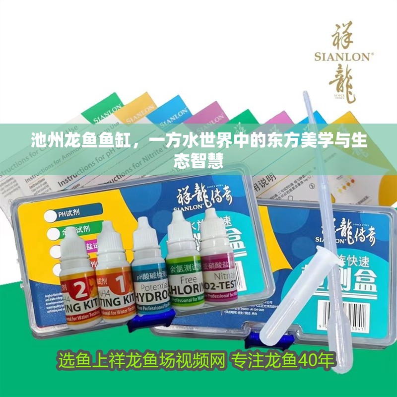 池州龍魚魚缸，一方水世界中的東方美學與生態智慧