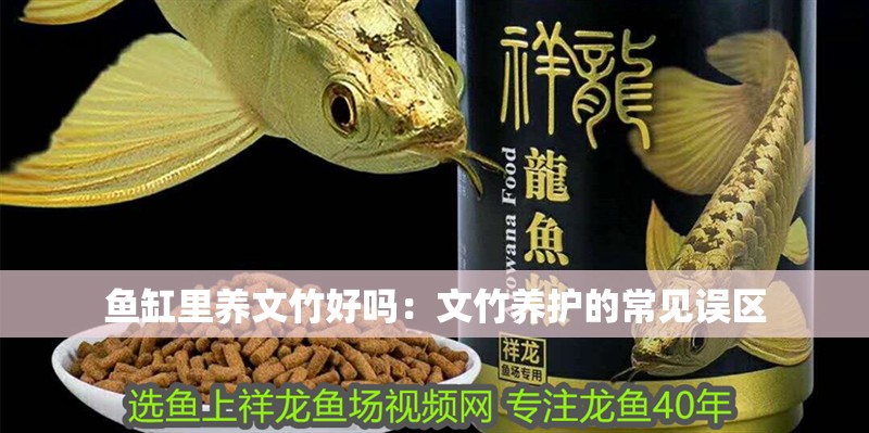 魚缸里養(yǎng)文竹好嗎：文竹養(yǎng)護(hù)的常見誤區(qū)