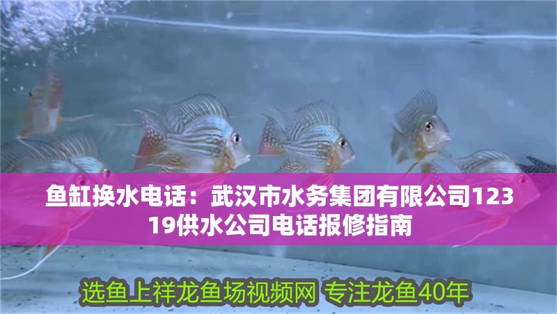 魚缸換水電話：武漢市水務集團有限公司12319供水公司電話報修指南