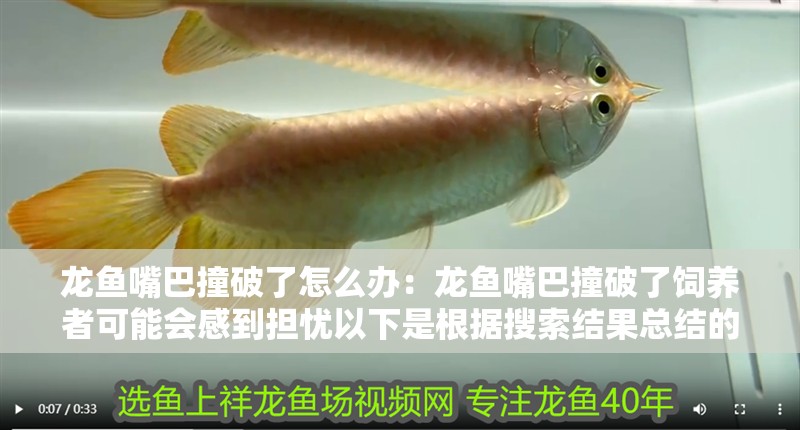 龍魚嘴巴撞破了怎么辦：龍魚嘴巴撞破了飼養者可能會感到擔憂以下是根據搜索結果總結的處理方法