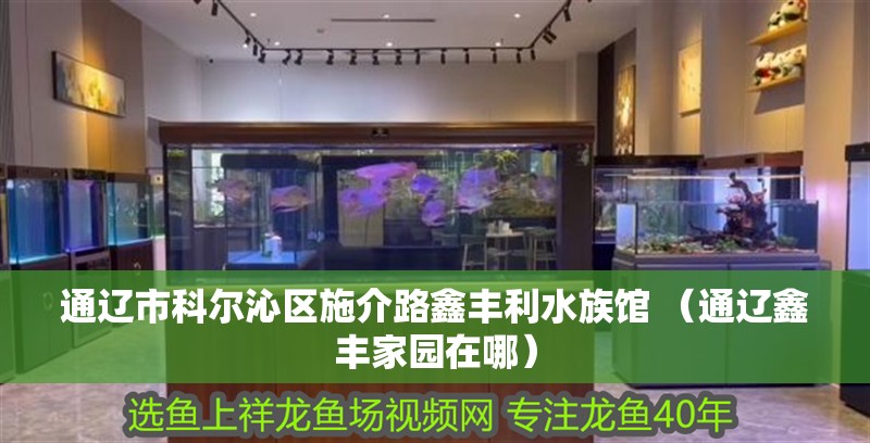 通遼市科爾沁區施介路鑫豐利水族館 （通遼鑫豐家園在哪） 通遼市科爾沁區施介路鑫豐利水族館 （通遼鑫豐家園在哪） 全國水族館企業名錄