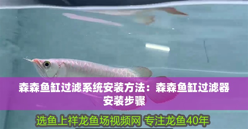 森森魚缸過濾系統安裝方法：森森魚缸過濾器安裝步驟