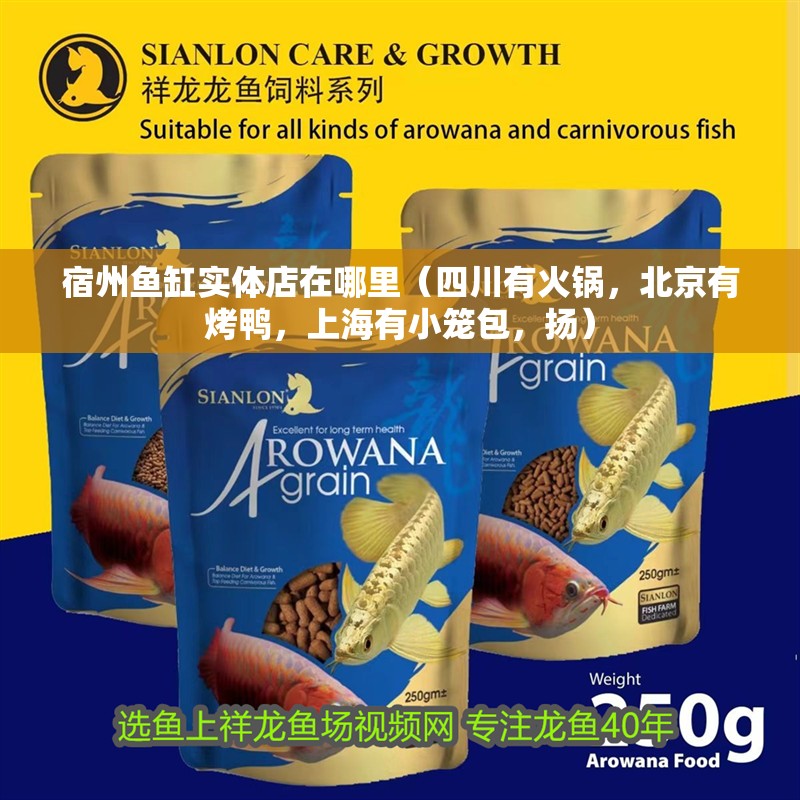 宿州魚缸實體店在哪里（四川有火鍋，北京有烤鴨，上海有小籠包，揚）