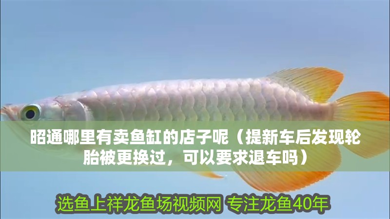 <strong><mark>昭通</mark></strong>哪里有賣魚缸的店子呢（提新車后發現輪胎被更換過，可以要求退車嗎）