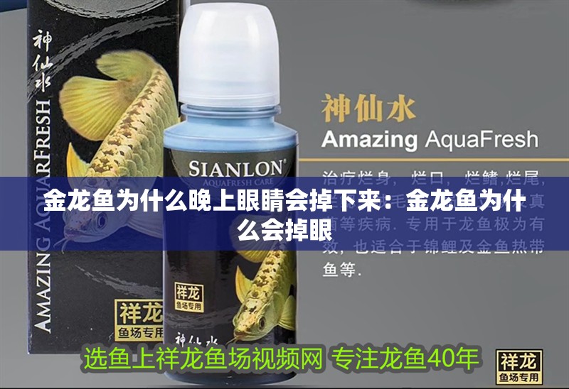 金龍魚為什么晚上眼睛會(huì)掉下來：金龍魚為什么會(huì)掉眼
