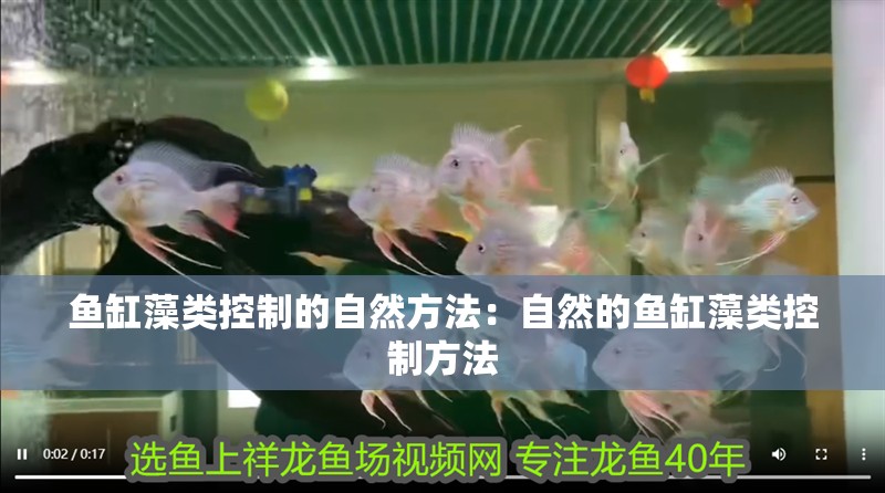 魚缸藻類控制的自然方法：自然的魚缸藻類控制方法