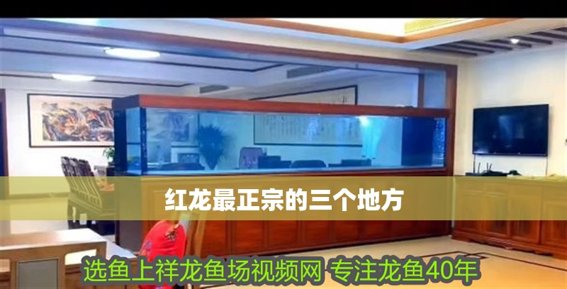 紅龍最正宗的三個地方