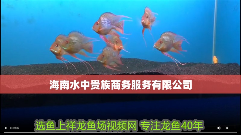 海南水中貴族商務服務有限公司