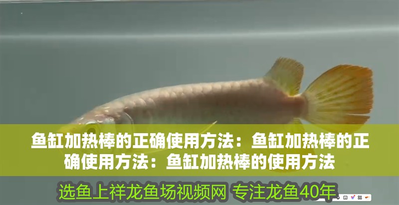 魚缸加熱棒的正確使用方法：魚缸加熱棒的正確使用方法：魚缸加熱棒的使用方法 魚缸加熱棒的正確使用方法：魚缸加熱棒的正確使用方法：魚缸加熱棒的使用方法 魚缸百科