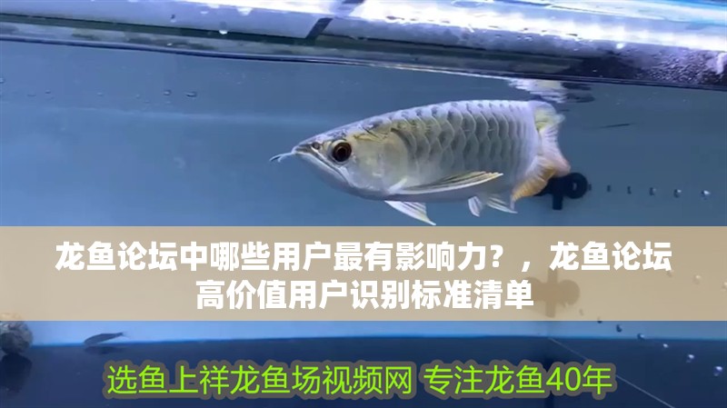 龍魚論壇中哪些用戶最有影響力？，龍魚論壇高價(jià)值用戶識別標(biāo)準(zhǔn)清單