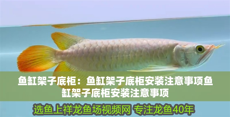 魚缸架子底柜：魚缸架子底柜安裝注意事項魚缸架子底柜安裝注意事項