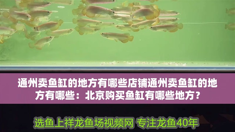 通州賣魚缸的地方有哪些店鋪通州賣魚缸的地方有哪些：北京購買魚缸有哪些地方？