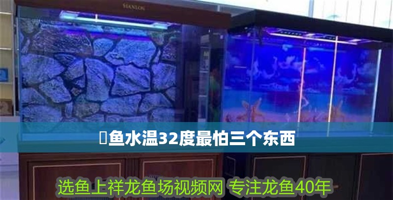 魟魚水溫32度最怕三個東西