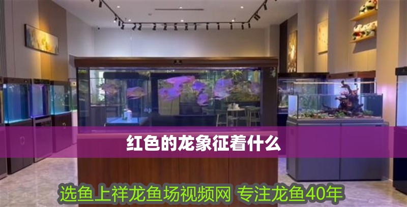 紅色的龍象征著什么