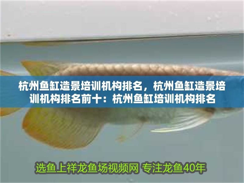 杭州魚缸造景培訓機構排名，杭州魚缸造景培訓機構排名前十：杭州魚缸培訓機構排名