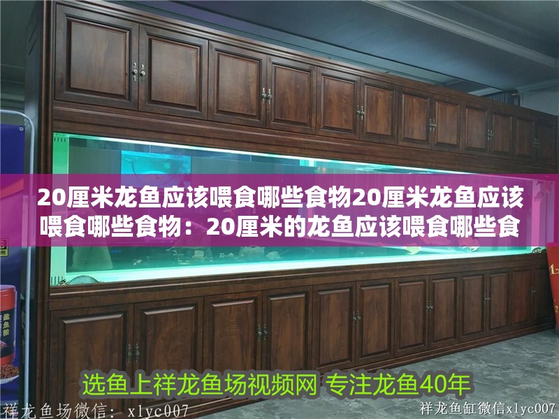 20厘米龍魚應該喂食哪些食物20厘米龍魚應該喂食哪些食物：20厘米的龍魚應該喂食哪些食物