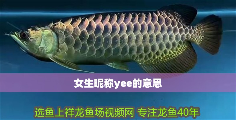 女生昵稱yee的意思