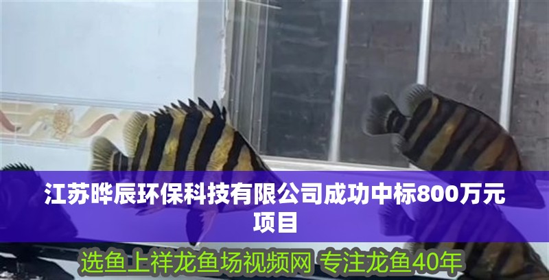 江蘇曄辰環?？萍加邢薰境晒χ袠?00萬元項目 江蘇曄辰環?？萍加邢薰境晒χ袠?00萬元項目 全國水族館企業名錄