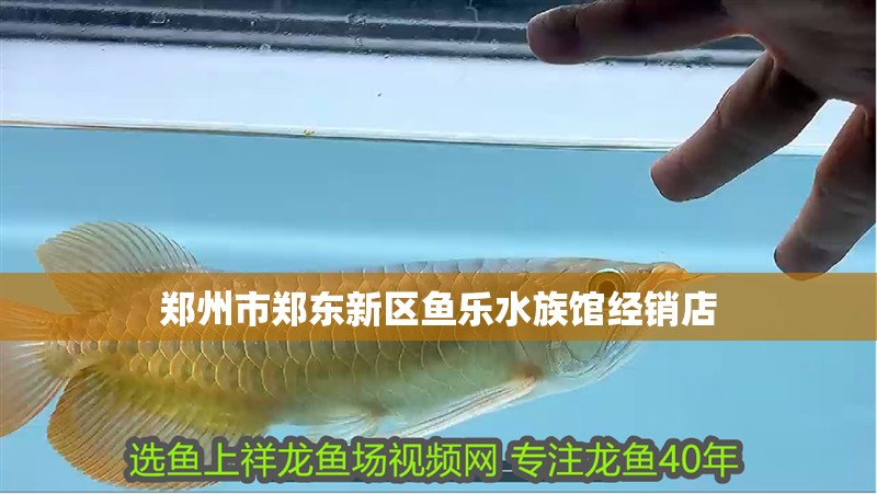 鄭州市鄭東新區(qū)魚樂水族館經(jīng)銷店