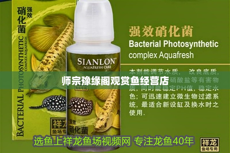 師宗豫緣閣觀賞魚(yú)經(jīng)營(yíng)店