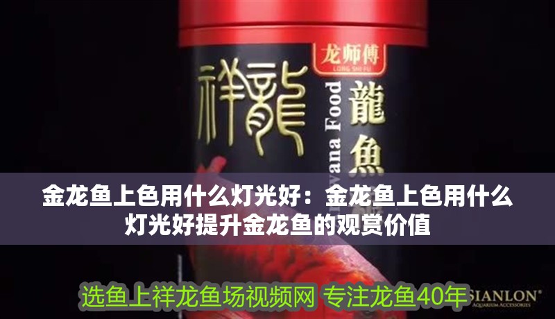 金龍魚上色用什么燈光好：金龍魚上色用什么燈光好提升金龍魚的觀賞價值
