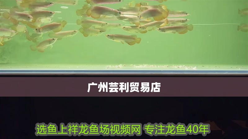 廣州蕓利貿(mào)易店
