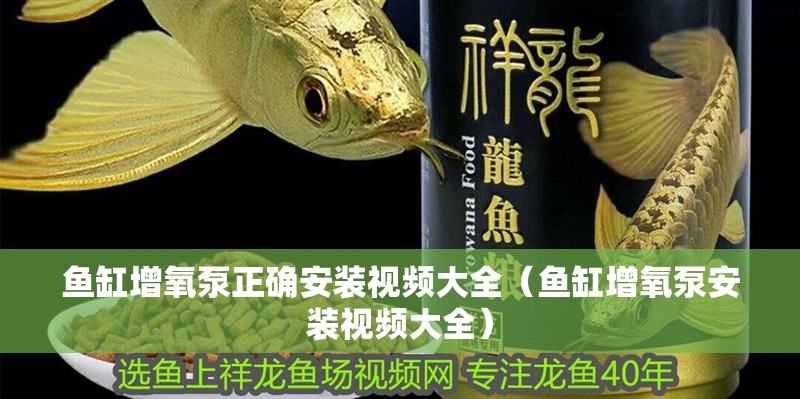 魚缸增氧泵正確安裝視頻大全（魚缸增氧泵安裝視頻大全）