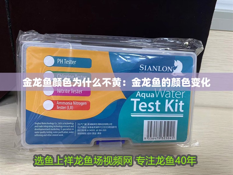 金龍魚顏色為什么不黃：金龍魚的顏色變化