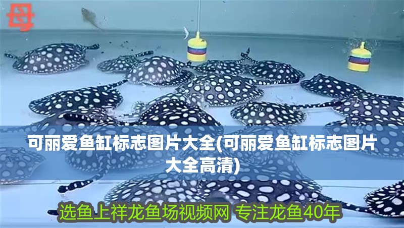 可麗愛魚缸標志圖片大全(可麗愛魚缸標志圖片大全高清)