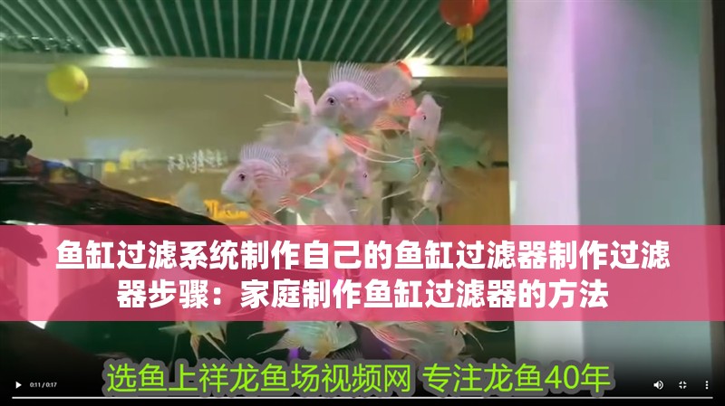 魚缸過濾系統制作自己的魚缸過濾器制作過濾器步驟：家庭制作魚缸過濾器的方法