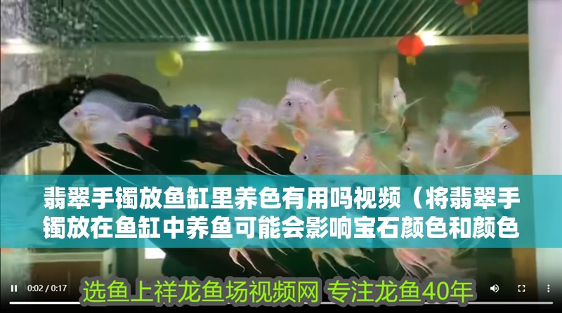 翡翠手鐲放魚缸里養色有用嗎視頻（將翡翠手鐲放在魚缸中養魚可能會影響寶石顏色和顏色）