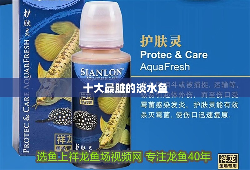 十大最臟的淡水魚