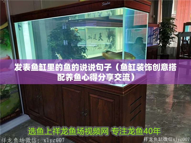 發(fā)表魚缸里的魚的說說句子（魚缸裝飾創(chuàng)意搭配養(yǎng)魚心得分享交流）