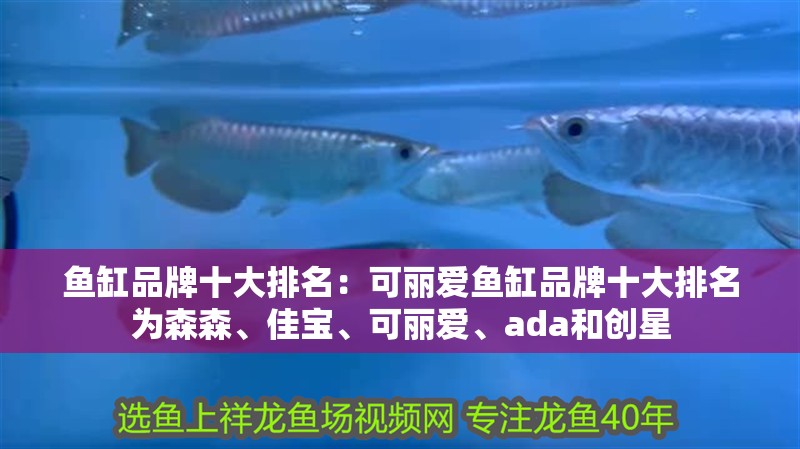 魚缸品牌十大排名：可麗愛魚缸品牌十大排名為森森、佳寶、可麗愛、ada和創星 魚缸品牌十大排名：可麗愛魚缸品牌十大排名為森森、佳寶、可麗愛、ada和創星 魚缸百科