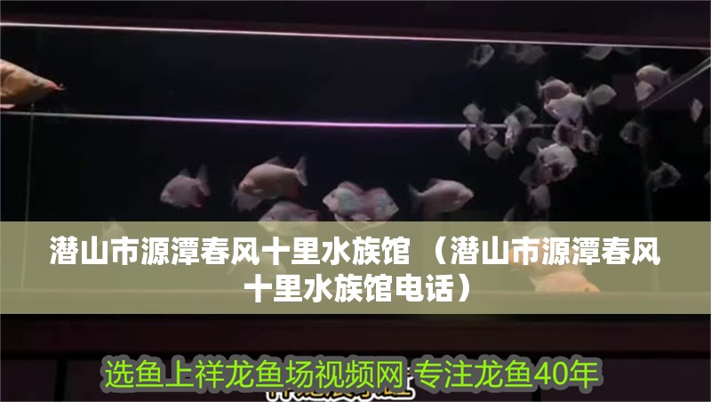 潛山市源潭春風(fēng)十里水族館 （潛山市源潭春風(fēng)十里水族館電話）