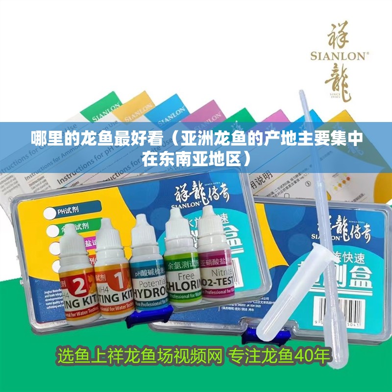 哪里的龍魚最好看（亞洲龍魚的產地主要集中在東南亞地區） 哪里的龍魚最好看（亞洲龍魚的產地主要集中在東南亞地區） 龍魚百科