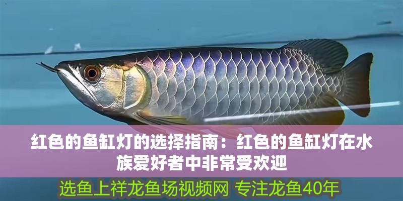 紅色的魚缸燈的選擇指南：紅色的魚缸燈在水族愛好者中非常受歡迎